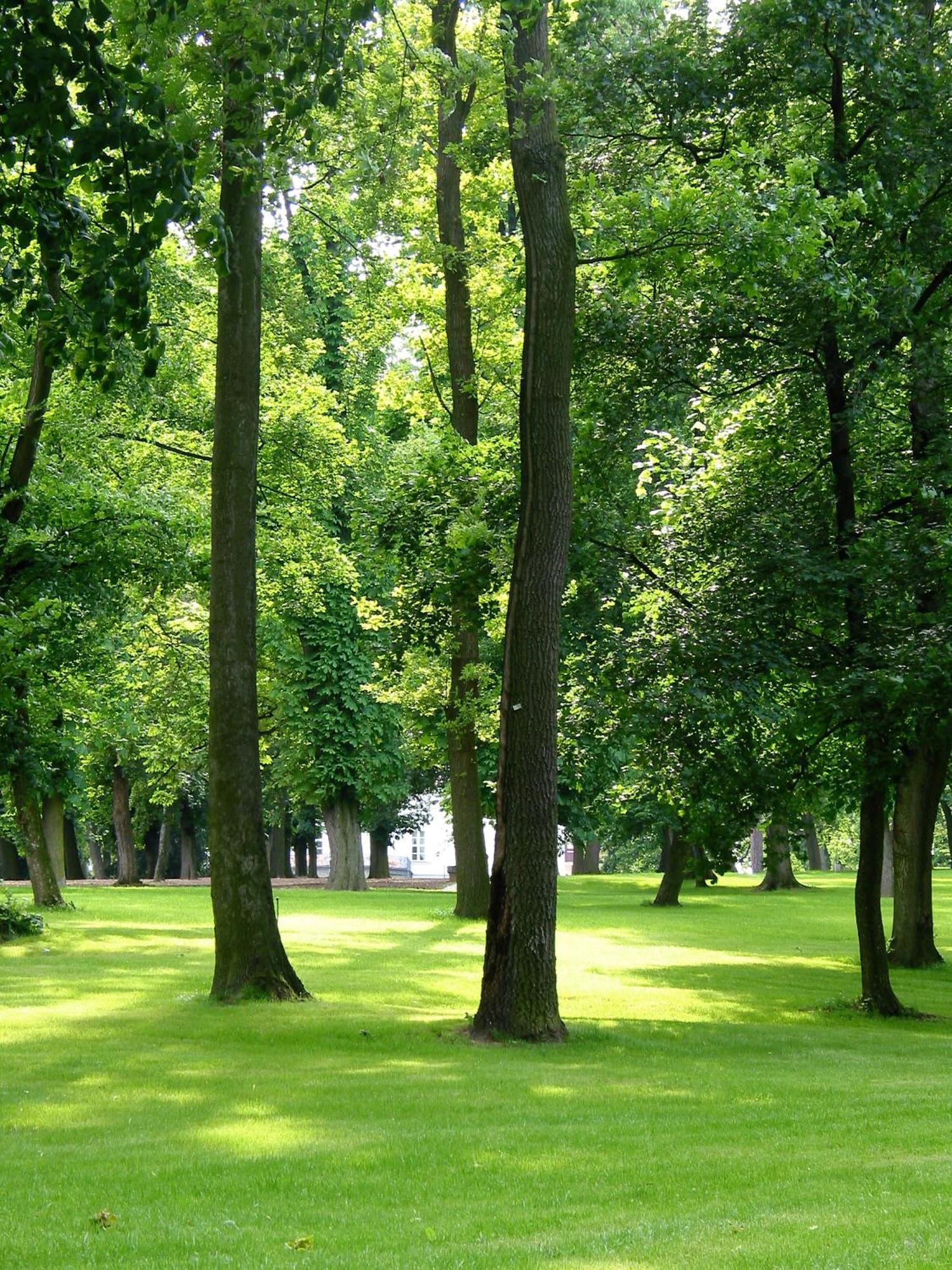 Park Hotel Tartuf Beladice المظهر الخارجي الصورة